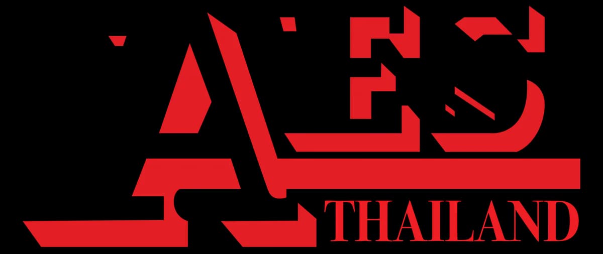 Asia Engineering & Service (Thailand) Co., Ltd. logo, electric motor repair